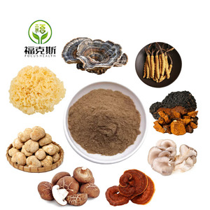 8 in 1 bubuk jamur surai singa, Reishi, Cordyceps, Chaga, Shiitake, Maitake, ekor Turki, bubuk ekstrak Jamur organik - Product Image 2