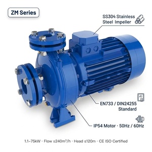 Bomba Centrífuga de Acero Inoxidable ZM32-ZM80 EN733, 1.5-75HP, 50Hz/60Hz, Doble Frecuencia, OEM, Suministro de Agua Industrial - Product Image 1