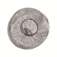Palette de démarrage organique pour outils de jardin Brique de coco Graine hydroponique Disque de coco Plante de tourbe Bloc de pot Coco Cocopeat