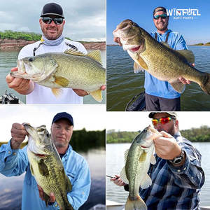 Caña de Pescar Telescópica de Fibra de Carbono con Carrete Giratorio, Kit Portátil Mini para Lubina y Trucha, 7 Secciones con Guías de Acero Inoxidable para Pesca a Distancia - Product Image 5