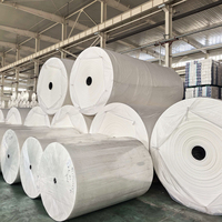 Bobine mère jumbo en gros pour la fabrication de papier toilette, rouleau jumbo de papier toilette, pâte à papier vierge non blanchie, bobine mère