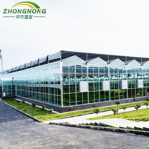 Grandes serres agricoles automatisées <span class=keywords><strong>en</strong></span> <span class=keywords><strong>verre</strong></span>, peu encombrantes, avec système de jardinage aéroponique rotatif <span class=keywords><strong>en</strong></span> tour et système hydroponique pour feuilles - Product Image 5