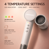 Sèche-cheveux ionique compact portable de haute qualité avec moteur sans balais pour la maison, les voyages, l'hôtel, le camping-car – Soin capillaire électrique avec diffuseur