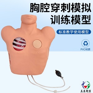 Modèle de drainage thoracétique ; Modèle de thoracoscopie ; Modèle de traitement de la zone pleurale fermée pour le pneumothorax. - Product Image 2