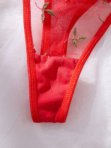 Ensemble de lingerie sexy rouge en dentelle transparente brodée florale avec soutien-gorge push-up pour femmes - Product Image 6