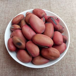 สารสกัดจากถั่วแคนาดากลาดิเอตา10:1ผงสกัดจากเมล็ดดาบอาหารเสริมจากธรรมชาติ - Product Image 2