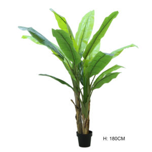 Offre Spéciale d'usine à <span class=keywords><strong>prix</strong></span> raisonnable Vente <span class=keywords><strong>en</strong></span> gros <span class=keywords><strong>Bananier</strong></span> artificiel <span class=keywords><strong>en</strong></span> <span class=keywords><strong>pot</strong></span> à haute simulation de Chine pour la décoration intérieure moderne - Product Image 1