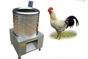 Máquina Desplumadora de Aves y Gatos de Diseño Innovador y Duradero, Fabricada en China - Product Image 5