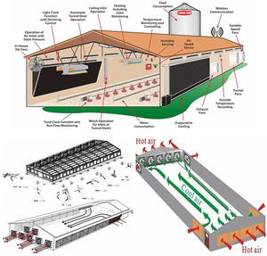 Gallinero Moderno y Estilo Rústico, Estructura Ligera de Acero para Granjas Urbanas y Rurales - Product Image 3