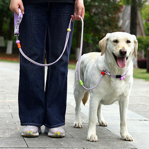 Correa para caminar multifuncional de doble etapa para perros pequeños y medianos, correa de poliéster a prueba de explosiones para perros, dos en uno - Product Image 3