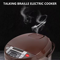Cuisinière à riz et chauffe-plat à induction parlante en braille de 5 L, en acier inoxydable, fonctionnement facile à une touche