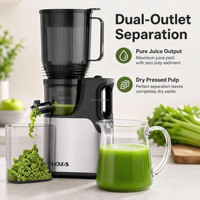 Whisper Quiet Slow Juicer 15cm Volledige Fruitopening DC Motor Onder 80dB RVS Gaas Makkelijk Reinigbaar Koudpers Sapcentrifuge