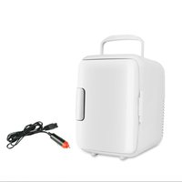 Mini réfrigérateur personnalisé 4L DC 12V pour voiture, camping, camping-car, réfrigérateur thermoélectrique d'extérieur portable et compact