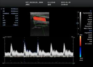 하이 퀄리티 저렴한 트롤리 초음파 기계 듀얼 스크린 초음파 진단 시스템 수의사 사용을위한 고급 수의사 초음파 - Product Image 5