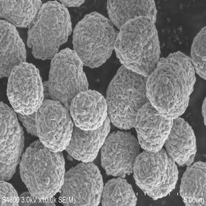 NCM9622 литий-никель-марганец, оксид кобальта, порошок, внешний вид, высокочистый катодный материал, литий-ионный аккумулятор, содержание Ni96 - Product Image 4