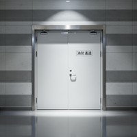 Porte en acier ignifugée 1,5 heure avec serrure de sécurité, cadre galvanisé, sortie de secours pour bâtiments industriels et commerciaux