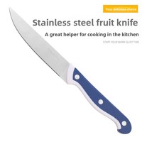 Fabriek Groothandel Food Grade Roestvrijstalen Fruitmes Met Plastic Handvat Huishoudelijke Groentesnijder Voor Slaapzalen Gebruik