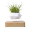 Vaso per Piante a Levitazione Magnetica, Fioriera Bonsai Fluttuante, Ornamento Creativo Sospeso per Decorazione di Stanze, Uffici e Scrivanie - Product Image 5