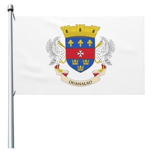 Bandera de <span class=keywords><strong>Guadalupe</strong></span> para el Día Nacional de la Independencia, 3x5 pies, Poliéster, Logotipo Personalizado, Dos Ojales de Latón, Eventos Deportivos, Interior/Exterior - Product Image 3