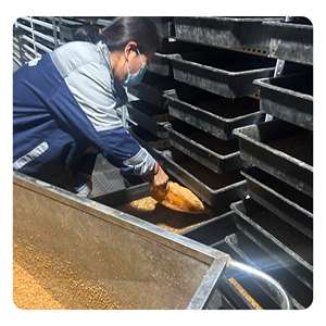 Kirlilik içermeyen yüksek kaliteli <span class=keywords><strong>Pet</strong></span> gıda mikrodalga kurutulmuş siyah sinek sinekler larva kuru gıda-kuşlar için sarı Mealworms - Product Image 2