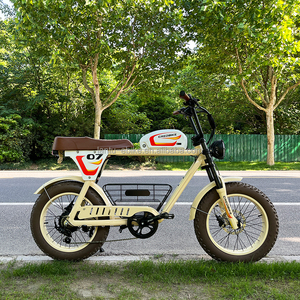 20 pollici 48v 500w 750w strada vecchio stile pneumatico grasso bicicletta elettrica - Product Image 6