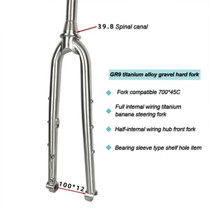 Fourche de vélo en alliage de titane GR9 700*45C, axe conique, avec passage de câbles interne/semi-intégral, sans <span class=keywords><strong>suspension</strong></span> - Product Image 4