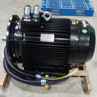 Motor Eléctrico de Frecuencia Variable de 30 kW con Inversor de Accionamiento Lateral y Eje de Repuesto - Precios