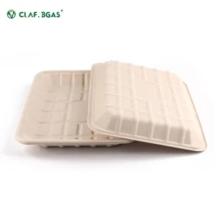 Eco-friendly Degradable Biodegradable Disposable Compartment Lunch Bagasse Food Tray