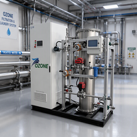 Système de désinfection de l'eau refroidi par air ZKOZONE 300g/h pour usine de fabrication, pompe PLC, processus de nettoyage, garantie 1 an, personnalisable