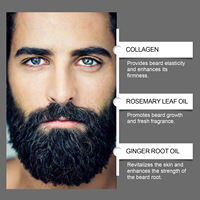 Kit de sérum pour la croissance de la barbe avec dermaroller, sérum pour barbe au gingembre et au romarin 60 ml/2 fl oz pour hommes, pour une barbe et une moustache plus volumineuses
