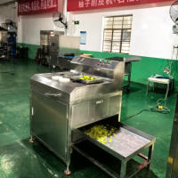 Dq Guangzhou Daqiao Industriële Automatische Druivensnijmachine Commerciële Motor Core Commerciële Productielijn Snijden