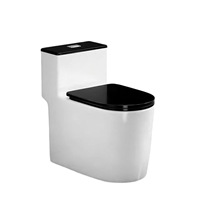 WC monobloc en céramique à poser au sol, usage domestique et hôtelier, grand diamètre, anti-odeur, anti-éclaboussures, étanche, silencieux, moderne, super