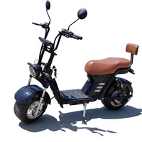 China Factory Hot Selling 1500W Cheap Motorcycle Electrical Systems Electric Motorcycle Motor Electric Motorcycle Scooter