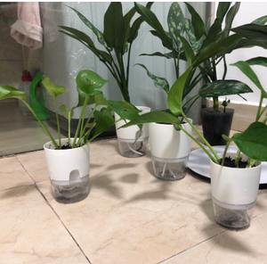 Fournitures de jardin d'usine <span class=keywords><strong>pas</strong></span> <span class=keywords><strong>cher</strong></span> pots d'arrosage modernes décoratifs pour l'intérieur grands pots de fleurs en plastique pots et jardinières - Product Image 5