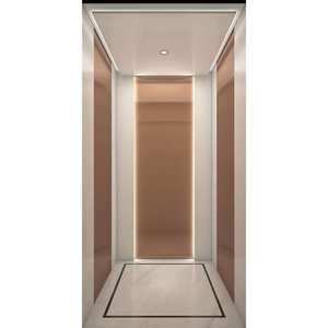 <span class=keywords><strong>Ascenseur</strong></span> résidentiel moderne FUJI AC en acier inoxydable, silencieux, sans engrenages, <span class=keywords><strong>pour</strong></span> villa de luxe et <span class=keywords><strong>maison</strong></span> <span class=keywords><strong>privée</strong></span> - Product Image 6