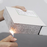 Panneaux sandwich EPS pour murs et toitures, résistants aux intempéries, installation facile, prix compétitif, panneaux muraux en polystyrène