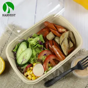 Kompost ierbare Einweg box für Lebensmittel verpackungs zellstoff mit klarem Deckel