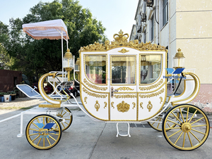 <span class=keywords><strong>Voiture</strong></span> royale touristique <span class=keywords><strong>blanche</strong></span> classique de luxe/<span class=keywords><strong>voiture</strong></span> de <span class=keywords><strong>mariage</strong></span> électrique unique personnalisée/<span class=keywords><strong>voiture</strong></span> électrique classique élégante royale - Product Image 5