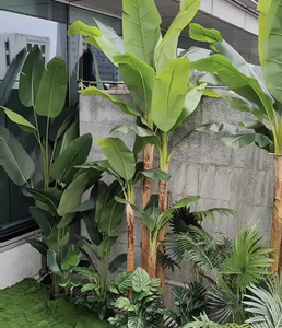 Plante artificielle <span class=keywords><strong>en</strong></span> <span class=keywords><strong>pot</strong></span> de 2 m de long <span class=keywords><strong>pour</strong></span> le salon, palmier artificiel, olive, bambou, bananier, arbres artificiels - Product Image 2