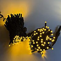 Gewerbliche Regenfeste Schwarze Gummikabel 24V 10M IP65 LED-Lichterkette für Außen-Weihnachtsbaumbeleuchtung