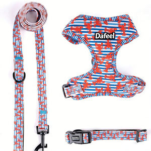 Conjunto de Collar, Correa y Arnés para Perro, Personalizable con Logotipo, Ajustable, Acolchado y Suave, para Paseos al Aire Libre - Product Image 2