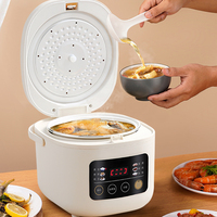 Mini-cuiseur à riz électrique intelligent Positive Hemisphere 1.0-1.5L en forme de tambour, multifonctionnel, programmable, pour 1 à 3 personnes, idéal pour les VR