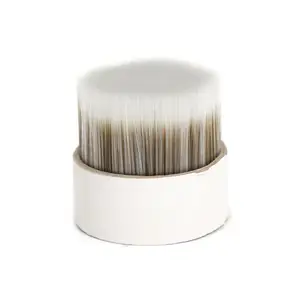 Paint brush set and paint brush monofilament PET bristle