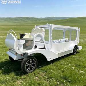 Lithium Battery Electric Funeral Hearse <b>Retro</b> Coffin Transport Cart Custom <b>Decoration</b> for Funeral Service - Product Image 1