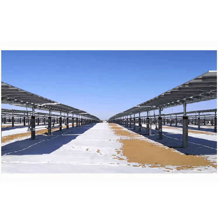 ソーラーシステム太陽追跡エネルギートラッカー40パネル低コスト構造