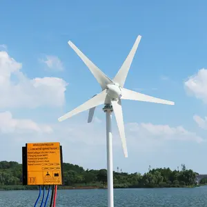 Цена на ветряной генератор мощностью 1 кВт 3 кВт 5 кВт, производство энергии в pakistan12V 24V 48V настраиваемый лезвие 3/5/6 для дома