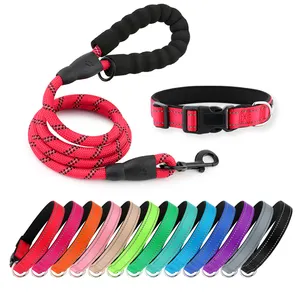 2023 New Design Reflective Dog Collar and Leash Set Adjustable Nylon Rope Manufacturer RIBBONS Customized Solid Padded COCOBUDDY