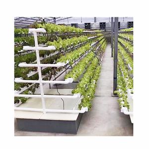 Hydroponic Greenhouse Shelves A-type PVC NFT Pipe Indoor Farm Leaf Vegetable Lettuce Growing <strong>Racks</strong> A Type Frame <strong>Vertical</strong> Nft - Product Image 2
