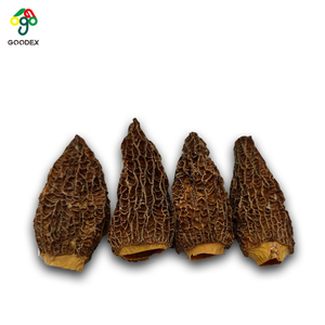 Funghi Morchella Essiccati di Alta Qualità, Coltivati, a Stelo Intero, Neri, per Ristoranti e Cucina, Vendita all'Ingrosso - Product Image 4