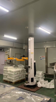 Robot de Desempaquetado de Bolsas de PP/PE de Alta Velocidad |   Brazo Robótico de Alimentación Automática de Materiales |   100-120 Bolsas/H, Totalmente Personalizable